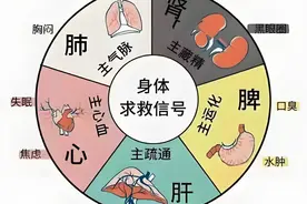 为什么五脏有火易清，五脏有寒难除？用好五个中成药清尽五脏之寒图片