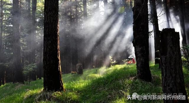 管涔山：华北大地上的山水传奇