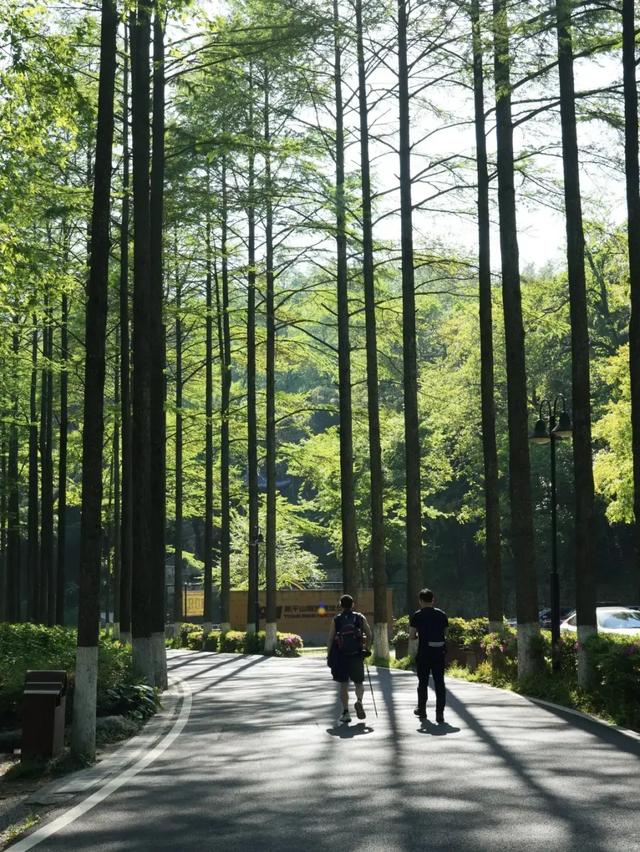 体荟四季|初秋徒步正当时!长三角这些路线,承包你所有的秋日浪漫