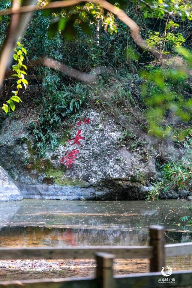 壮美五指山，我要给你五颗星