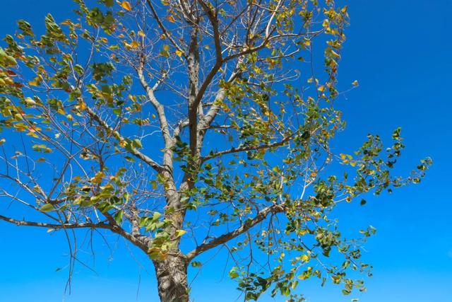 海防遗址+落日栈道，东海小众漫游地！