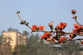 破局：攀枝花与中国三线建设图片