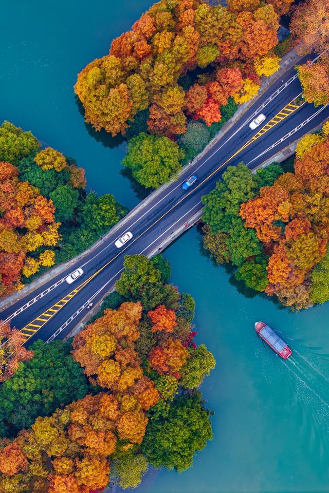 惊喜！杭州2个免费地方的枫叶红啦，超美有古韵，秒杀日本浅草寺