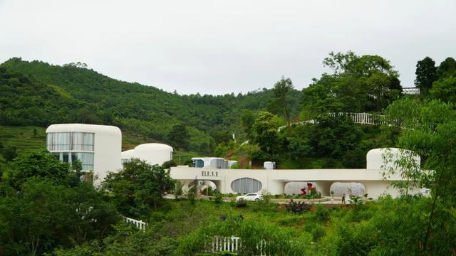 思茅区：咖啡庄园迎来暑期旅游热 解锁“咖旅融合”新玩法