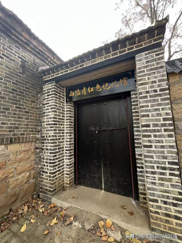 泰安肥城西陆房村里的大白菜