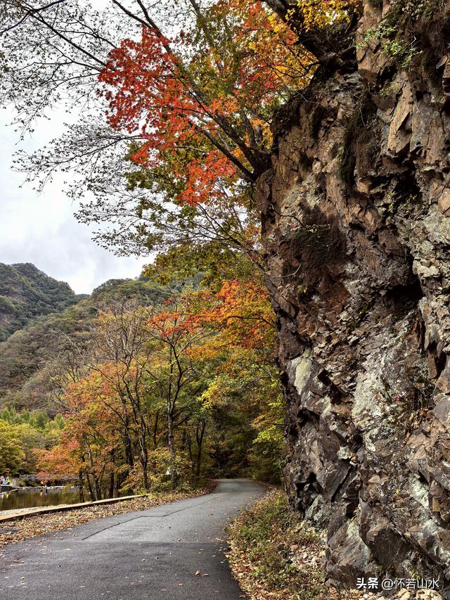 2025辽宁赏秋之旅日记(2)——游览丹东蒲石河森林公园