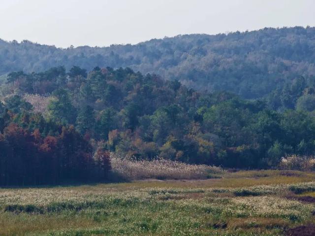 荣炳：乡村冬韵浓 美景入画来