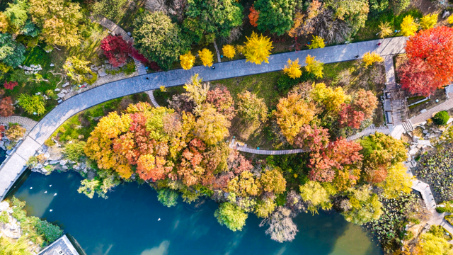潍坊美景“告急”！这些地方错过等一年！