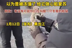 笑晕， 武汉人在哈尔滨给冬眠松鼠做心肺复苏，笑死在网友的评论区图片