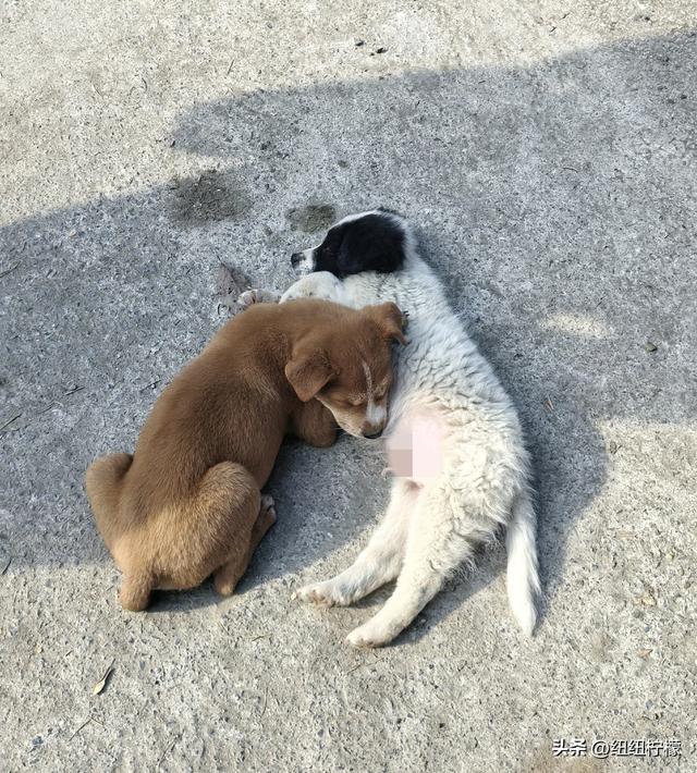 户外徒步之挑战缙云九峰，从健身梯道到狮子峰，走了四小时