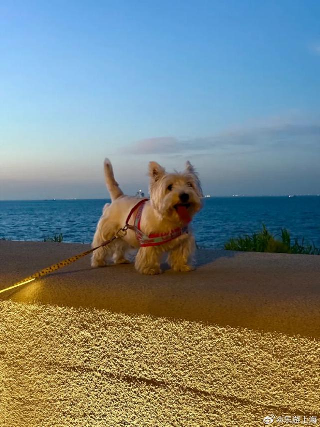 魔都私藏看海胜地！美到犯规！