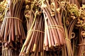 这5种野菜千万别吃，转告家里的老人，别再当成“宝”了！图片