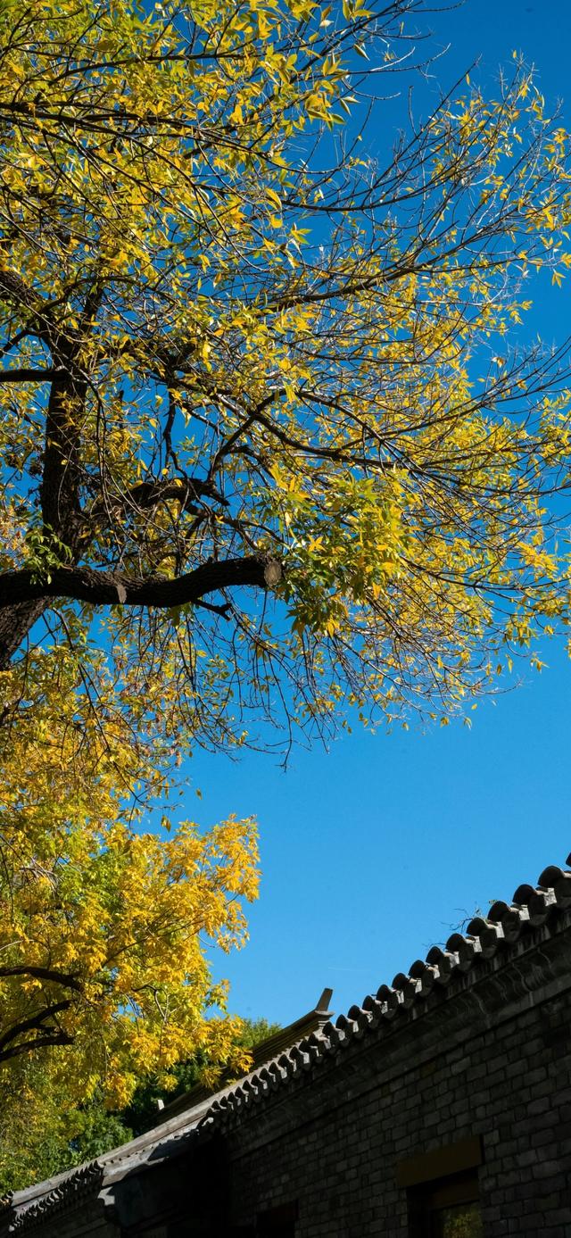 手机壁纸|iOS自然风光美景