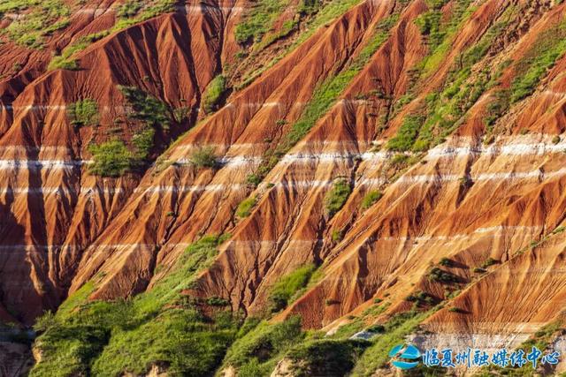 东乡大地的浪漫情书——“羊肉卷”