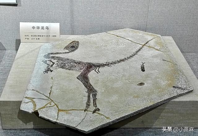 我的228 自驾暂停，回家篇4——D8-11 承德-朝阳篇