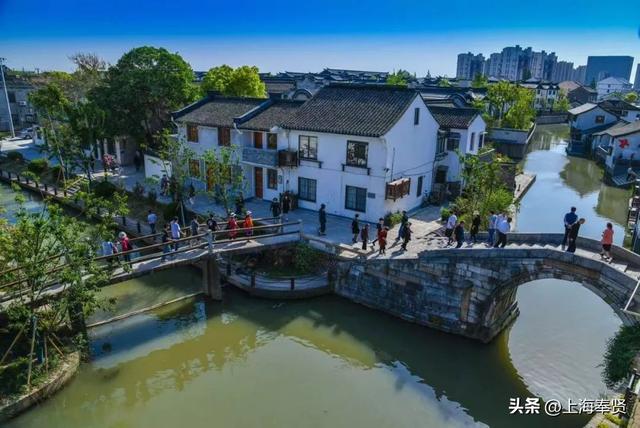藏在上海的千年水乡！青溪老街一日游攻略，逛吃玩全解锁！