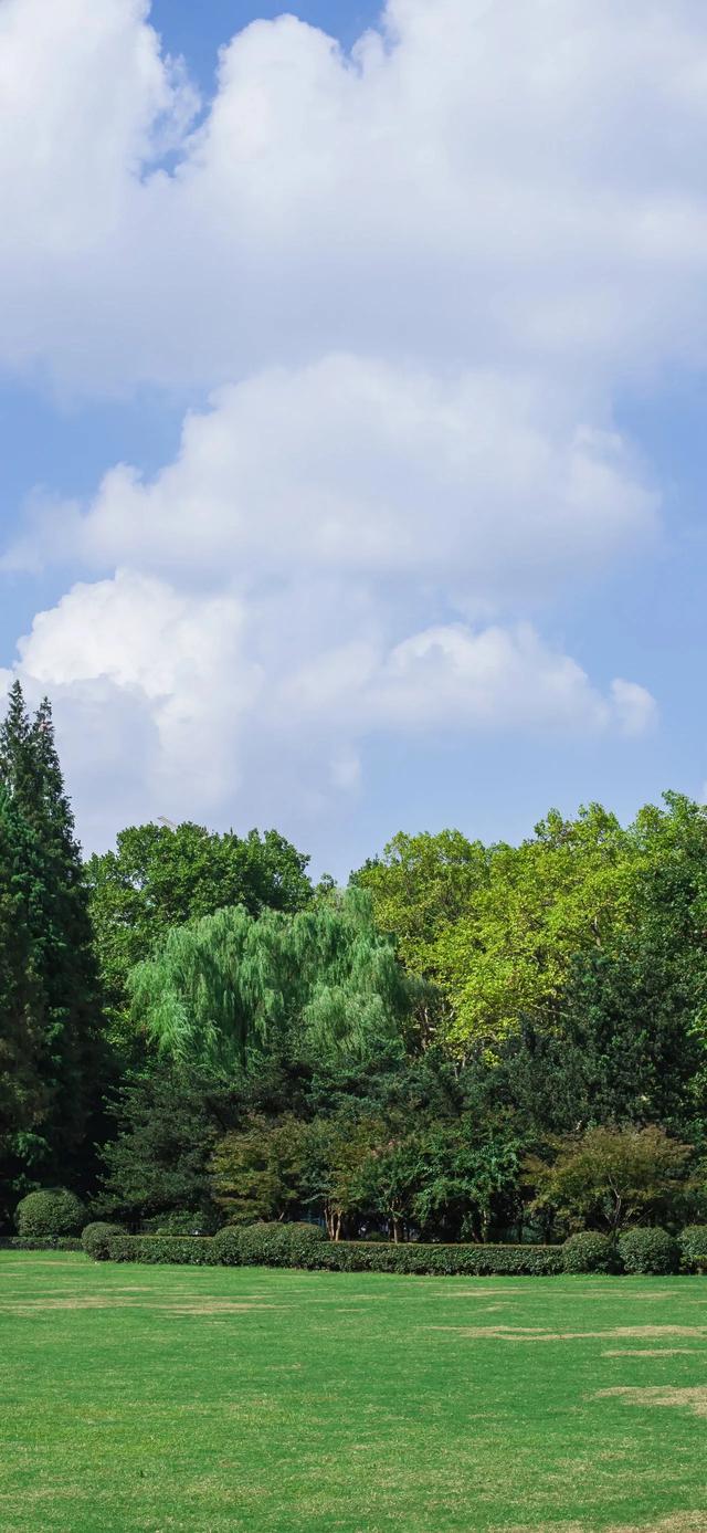 手机壁纸|清新盎然的自然风光美景