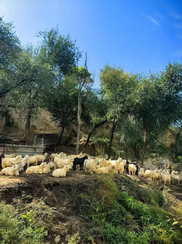 山西吕梁·临县尧昌里村