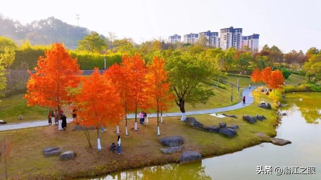 遛娃、约会、发呆…一份在韶关武江完美的晒太阳方案是这样↓