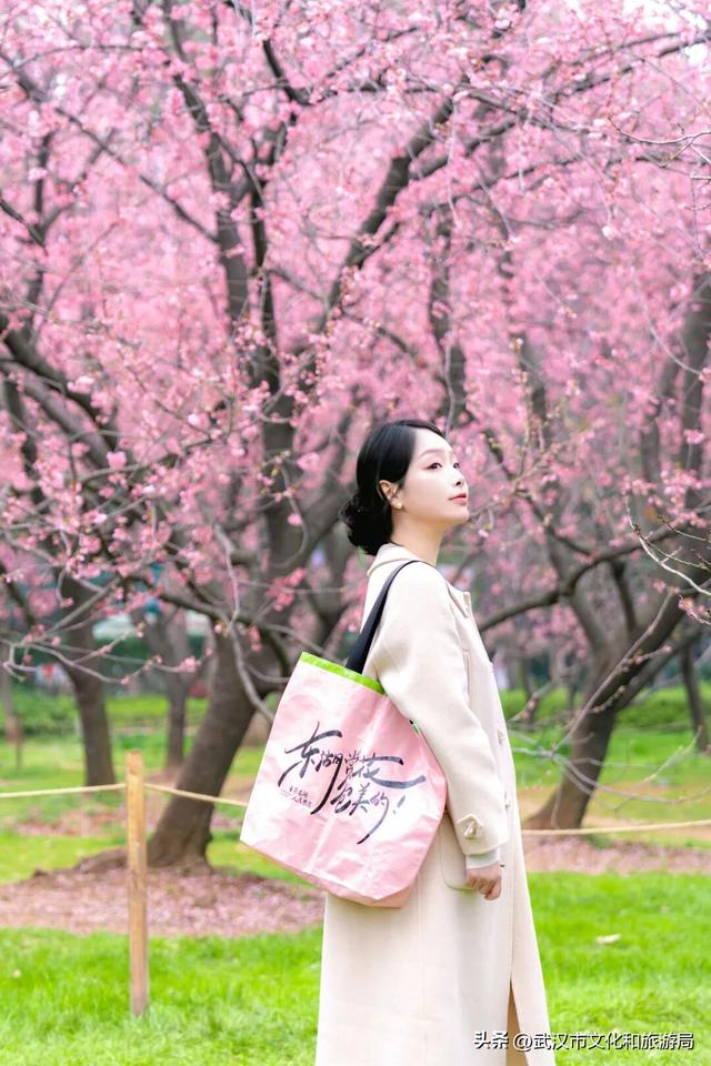 本周起，武汉赏樱大礼包免费领，手慢无！