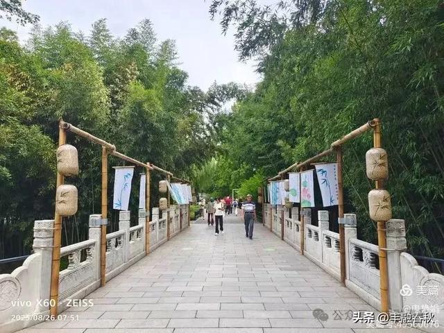 紫竹院竹荷季:一园清风里的诗意相逢| 申艳娟
