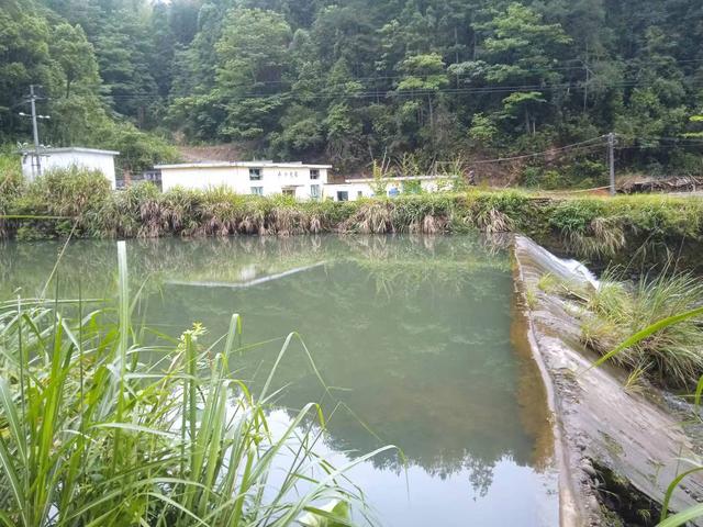 端阳喜伴小溪河，独有诗心迷远足——徒步小溪河散记（三）