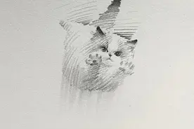 灵魂画手再现，寥寥几笔却满载萌趣！图片