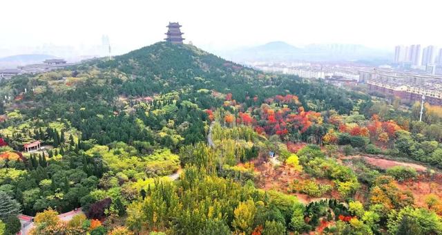 景色怡人！大自然的冬日画作，小城成了树木编织的五彩秘境！