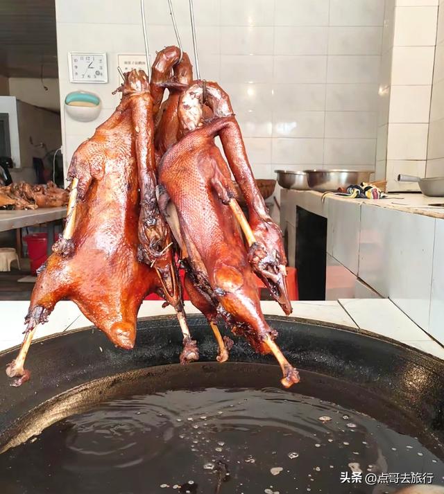 成都彭州被低估的场镇，3公里银杏长廊超级壮观，公交车直达！