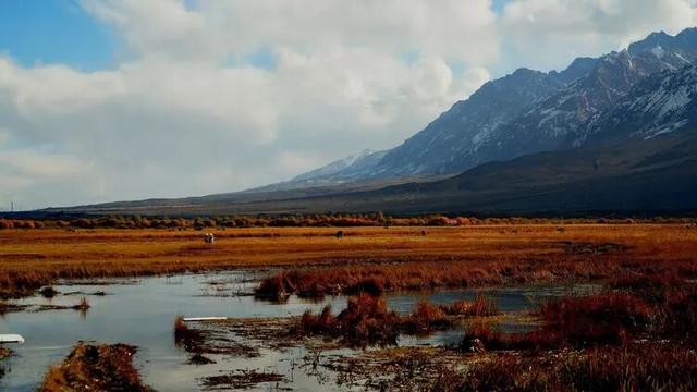 邢强 | 秋游南疆