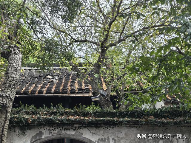 秋游绍兴鲁迅故里 从百草园到三味书屋 从城里少爷到民族脊梁