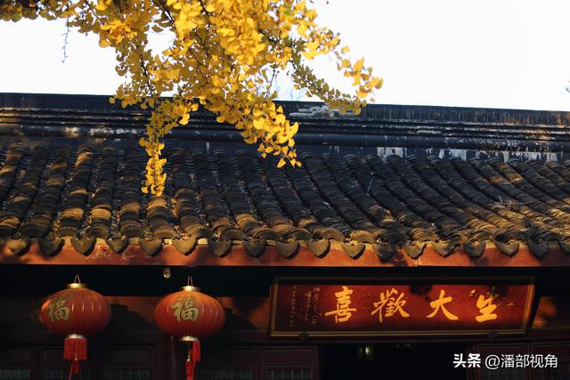 苏州石壁永慧寺，冬日金灿灿的世界，这里的古银杏和寺庙完美组合