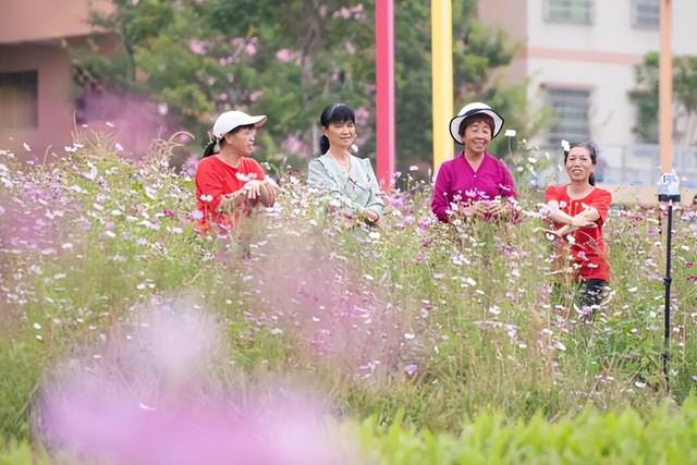 格桑花开，河鲜正鲜！来高要这里，邂逅一场粉色浪漫~