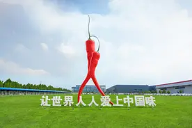 漯河：向新发力 将中国食品名城的名片越擦越亮图片