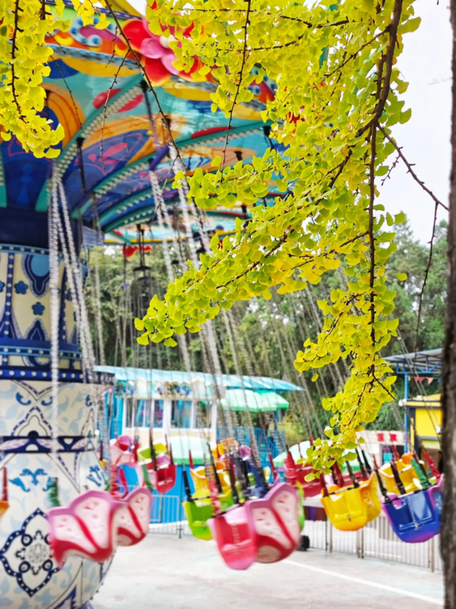 从街角到古村，一键解锁贵阳的秋日浪漫