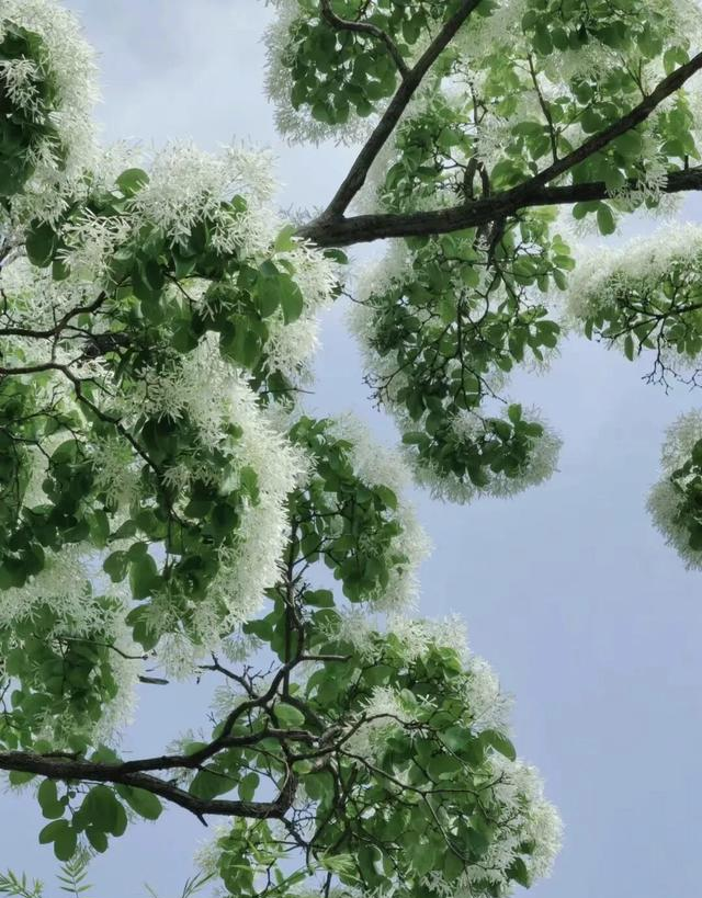 窄门不“窄”，焦作后山餐饮为何难成规模？