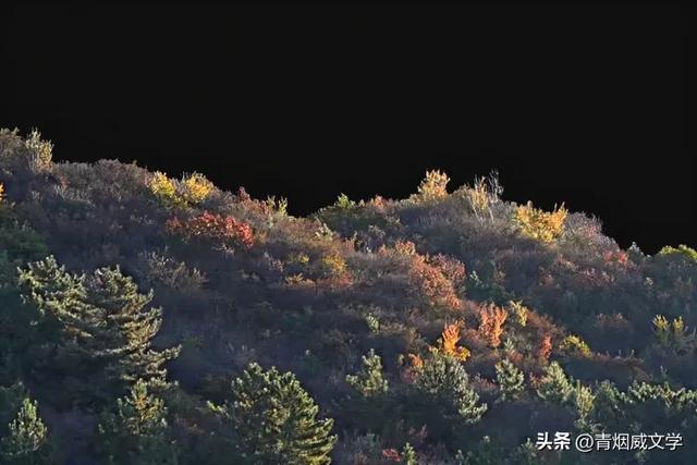 怀来秋日美