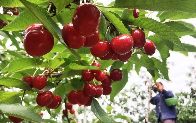 这一次，不得不去新安了！