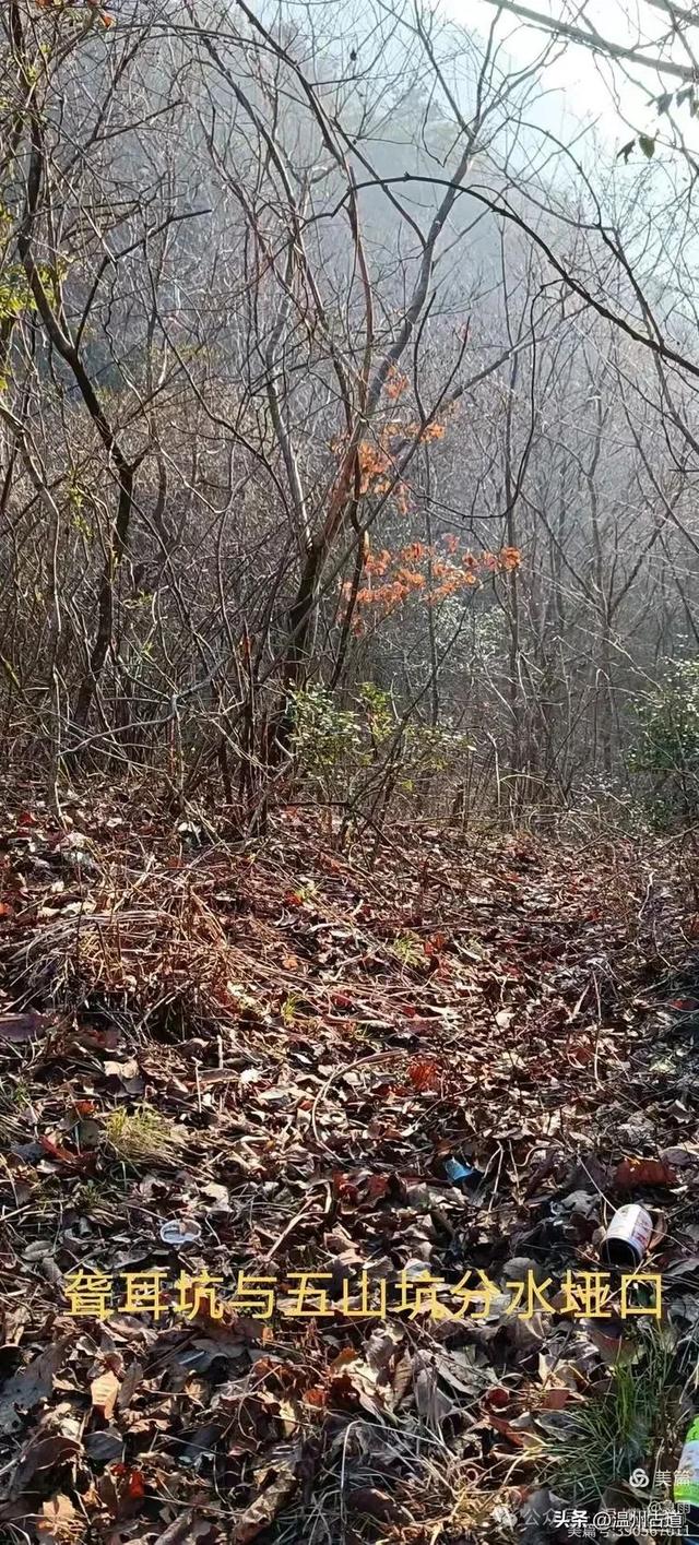 探秘楠溪江源头，深山中的秘境！