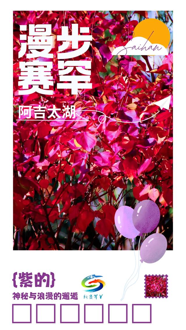 北疆文化 遇鉴赛罕 | 实拍!赛罕已开启五彩斑斓“童话模式”