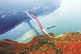 重庆不断筑牢长江上游重要生态屏障图片