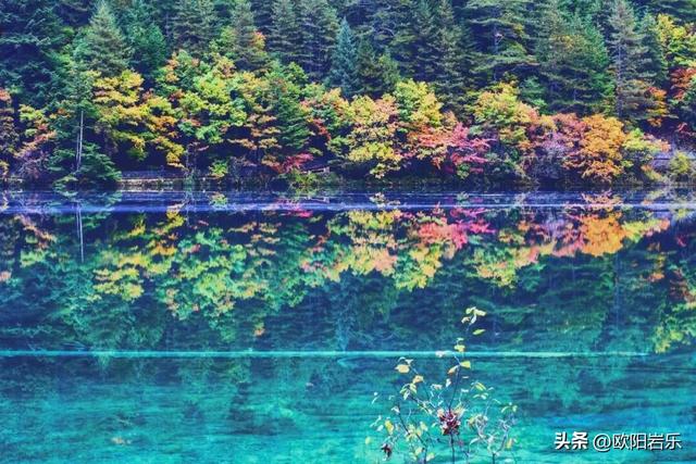 是什么让资深驴友每年秋天都偷偷跑去川西？？