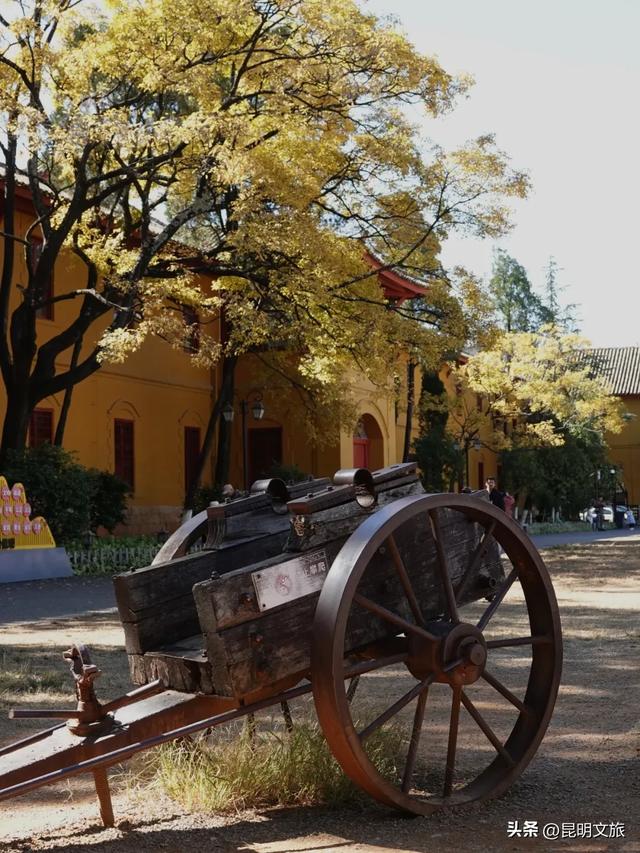 全屏“封神”！这可是昆明初冬的超绝顶流！保姆级攻略来袭，趁天晴立马冲！