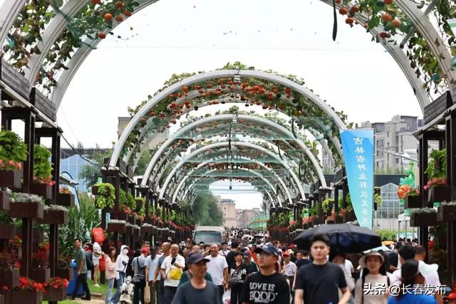 走进长春!150个网红打卡地之长春农业博览园