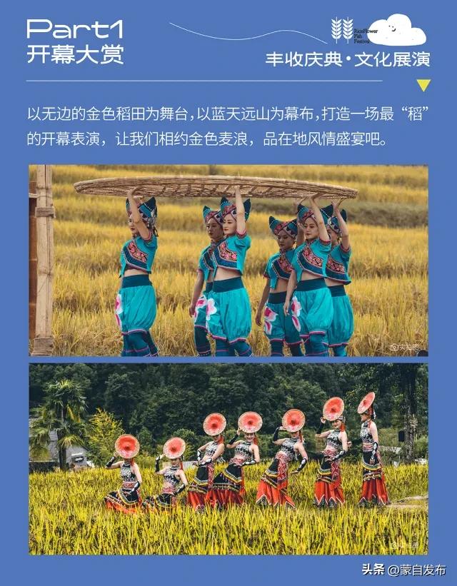 中秋国庆游腾冲丨赴玛御谷之约，“稻” 此一游赏满田秋浪