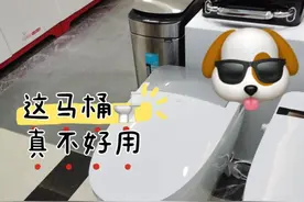 用了2年“智能马桶”，坚持换回普通马桶，只因这几点我受不了图片