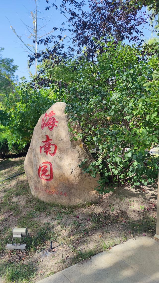 银川花博园真的好大，好大，是我见过的最大的花园
