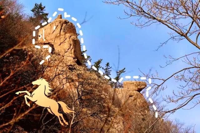 崂山这块石头火了！来崂山——“马”上好运！