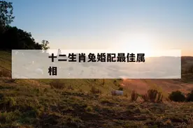 生肖兔与十二生肖绝佳婚配，良缘佳偶，婚后年年家富足图片