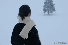 适合下雪天发朋友圈的高级感文案图片